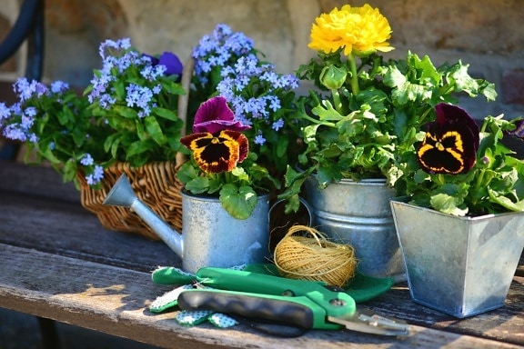 Hoa, thực vật có hoa, cây, nồi, dây thừng, giá trong giỏ hàng