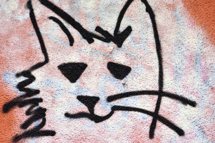kat, hoofd, kunst, graffiti, muur