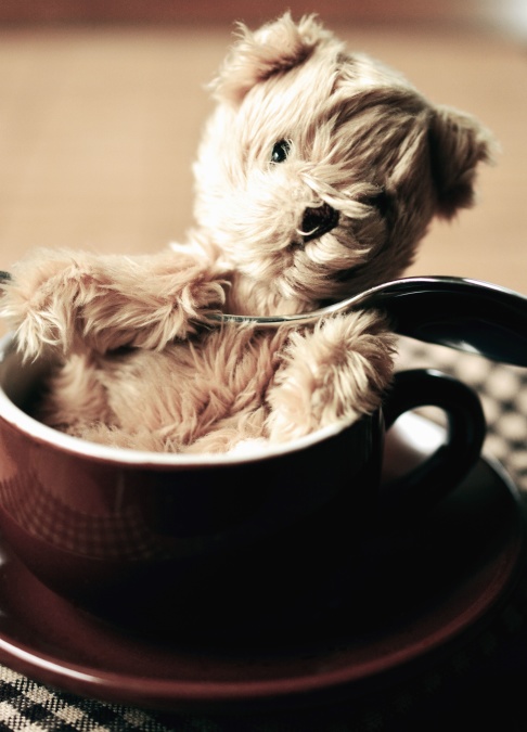 cup, teddy bear, toy, pottery