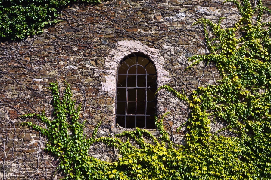παράθυρο, κτίριο, αρχιτεκτονική, πρόσοψη, τούβλου, τοίχου