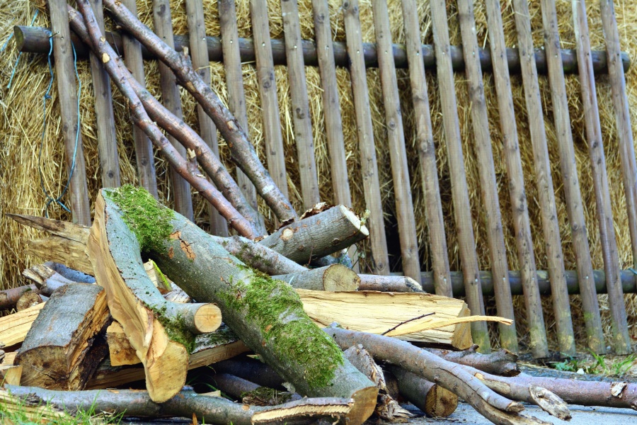 Fieno, recinzione, legno, tronchi, muschio, albero