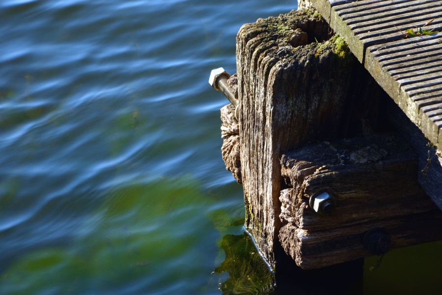 Dock, skrutky, drevo, voda, lúč, moss