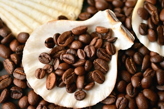 coffee bean, drink, decoration, coffee, seed, nut