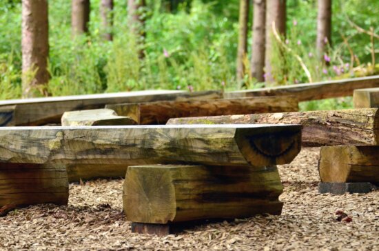 bench, wooden, forest, soil, nature, shrub