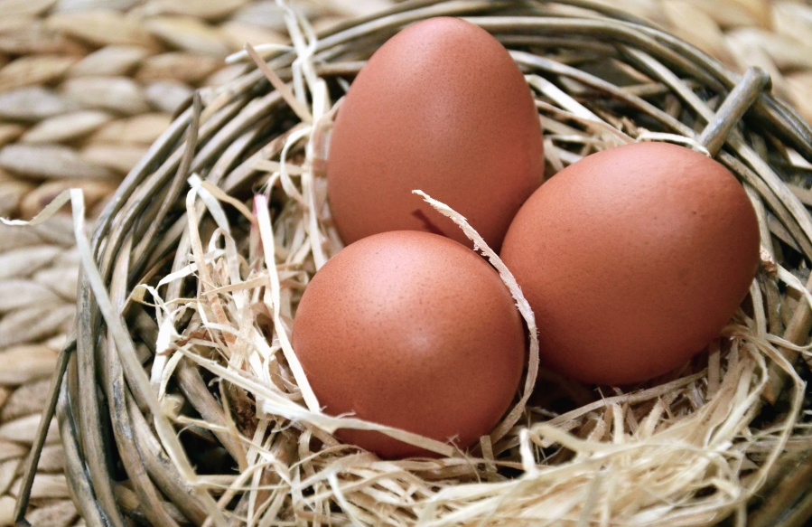 trứng Phục sinh, nest, thịt gà