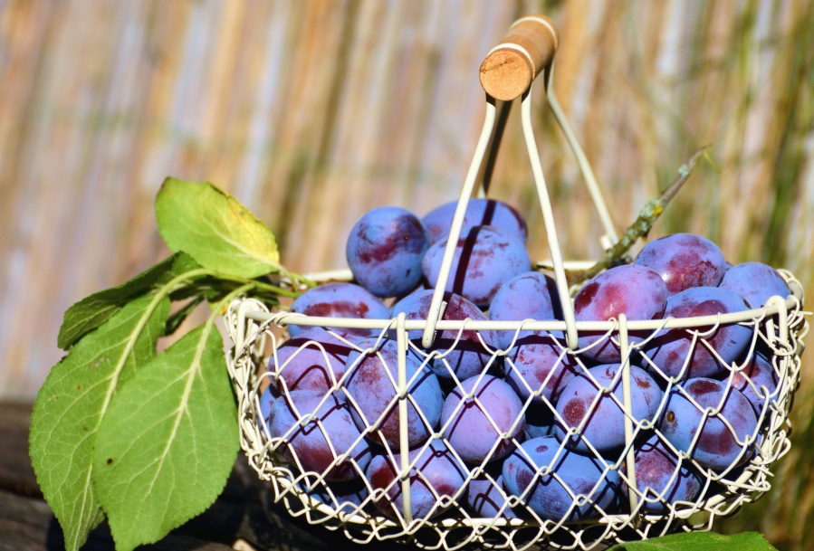 metal, basket, plum, leaf, fruit, food
