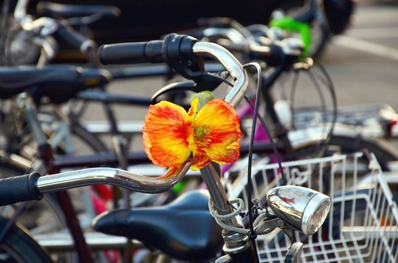 bicicleta, metal, flor, bulbo, transporte, veículo, volante