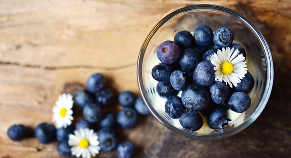 blueberry, glass, fruit, food, daisy