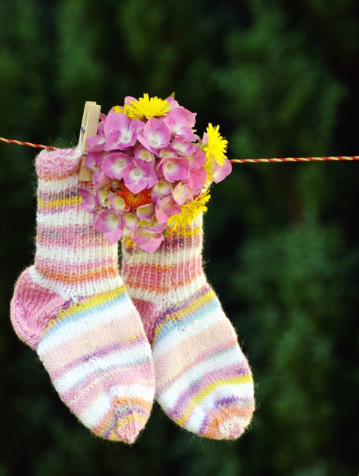 socks, flower, wire, flower