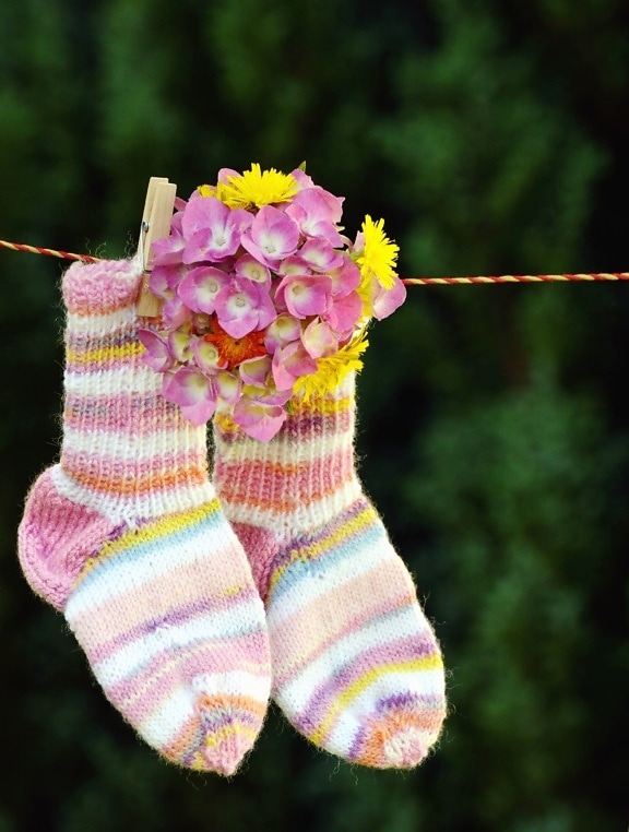 ponožky, kvetina, drôt, kvet