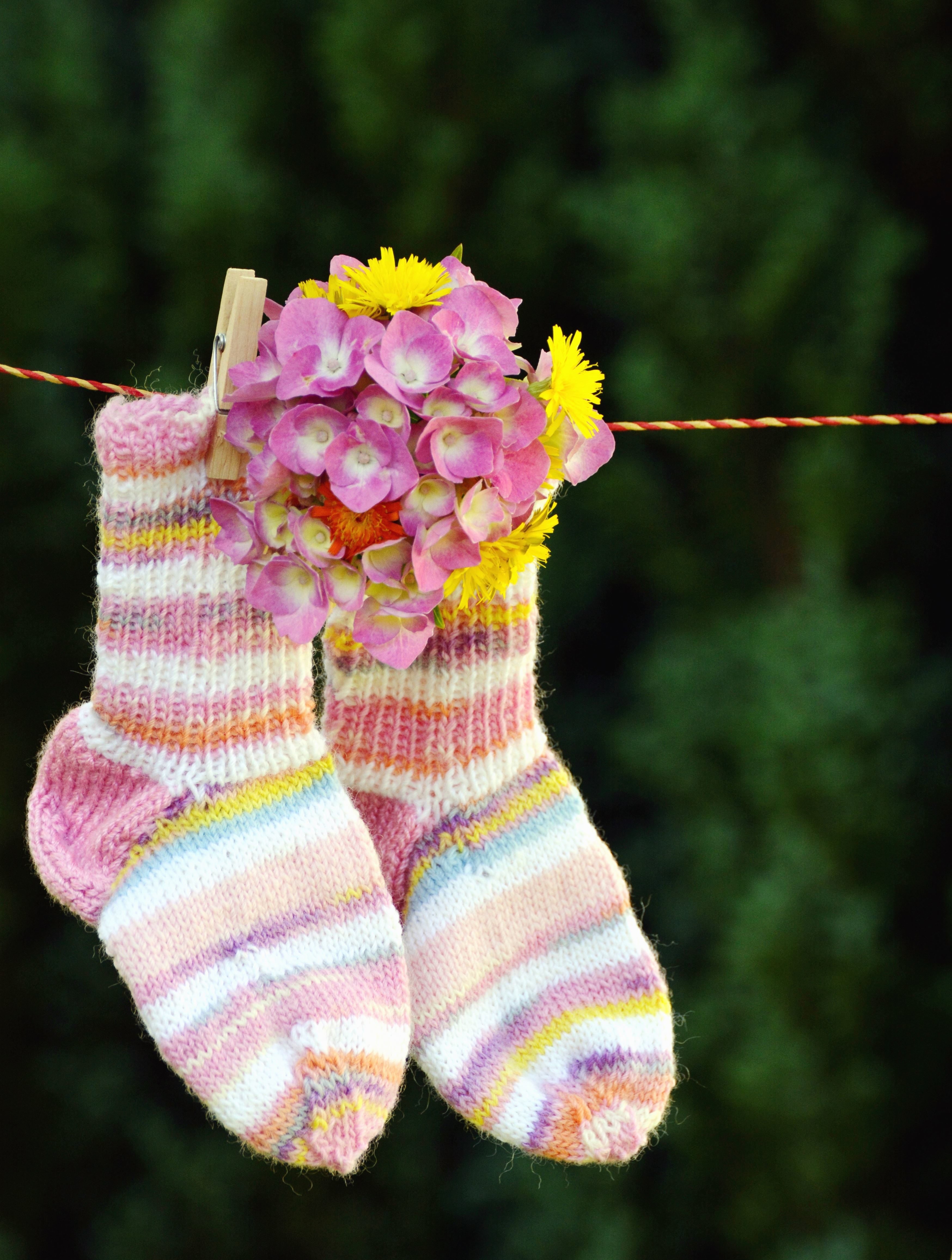Free picture: socks, flower, wire, flower