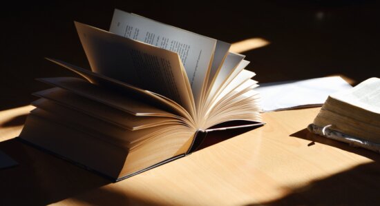 daylight, table, book, learning, reading