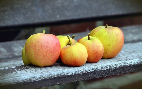 дерево, яблоко, скамейки, фрукты, питание