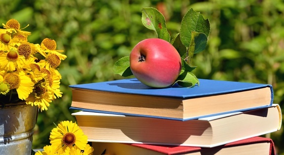 kniha, jablko, květina, příroda, ovoce, okvětní lístek