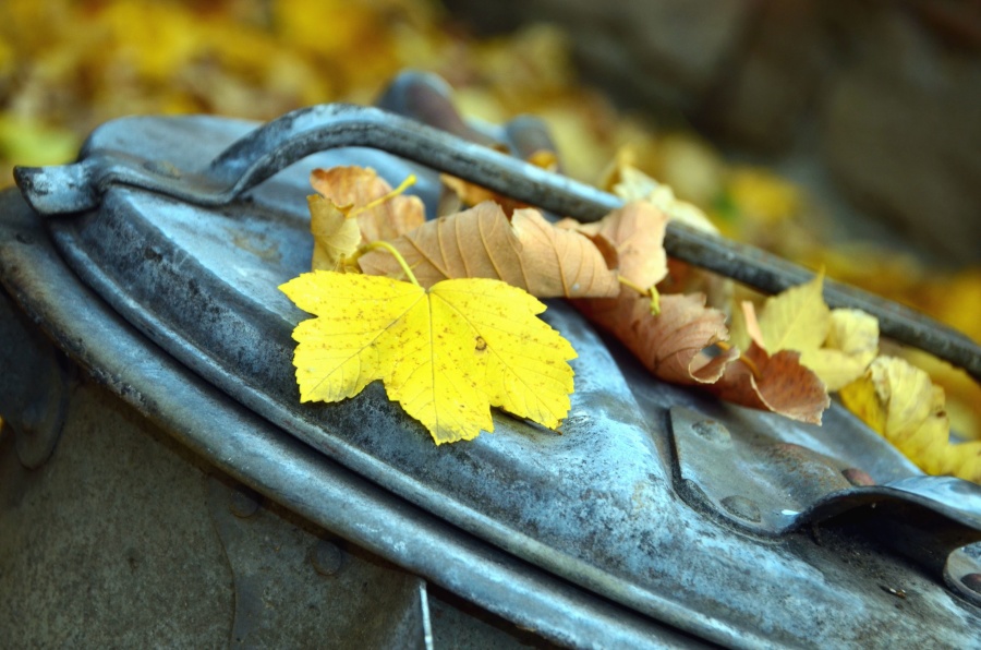 podzim, listí, kryt, kov, odpadkový koš