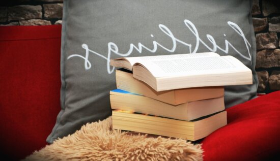 book, pillow, bed, wall, brick, learning