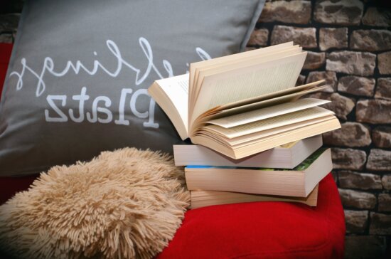 Wand, Ziegel, Buch, Kissen, Bett, Lernen