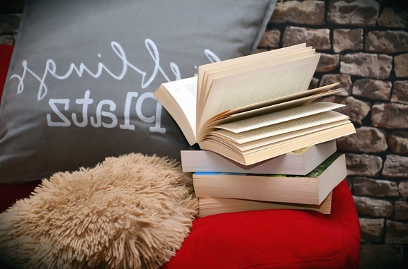 wall, brick, book, pillow, bed, learning