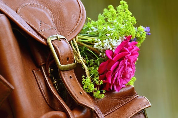 バッグ、革、バックル、花、花弁、植物、装飾