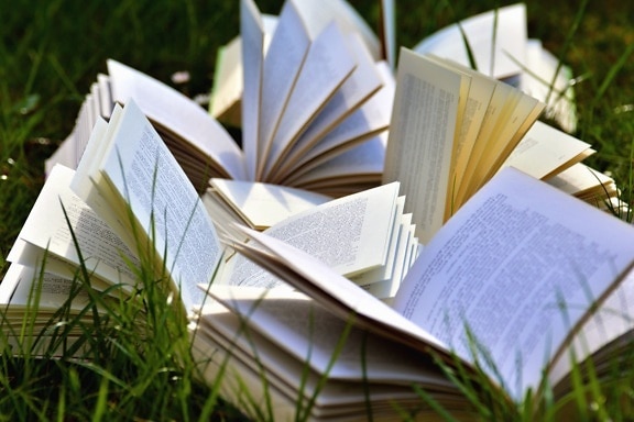 book, grass, nature, science