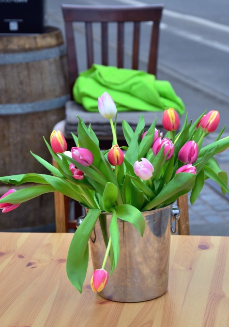 still life, tulip, bucket