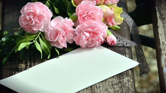 Rose, liefde, bench, papier, boeket, Romantisch