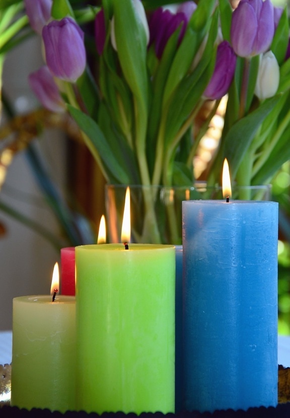 candle, flower, flame, wax, warm, tulip