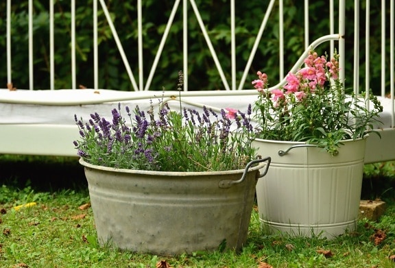 bucket, flower, grass, garden, decoration, flowering