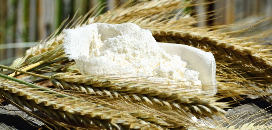 trigo, verão, farinha, pano, comida