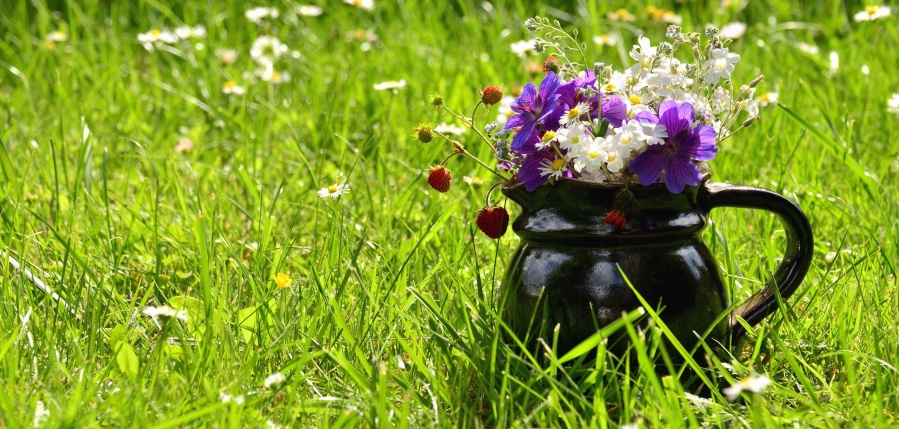 keramika, pohár, květiny, kytice, petal, tráva, příroda