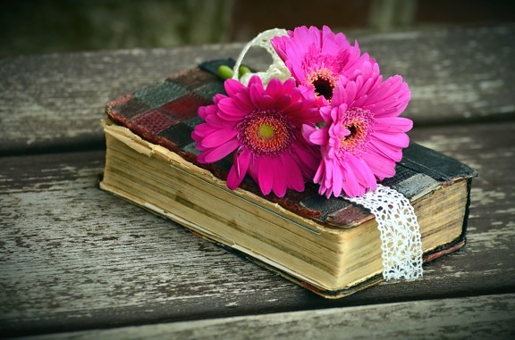 dekoráció, virág, rózsaszín virág, könyv, tábla