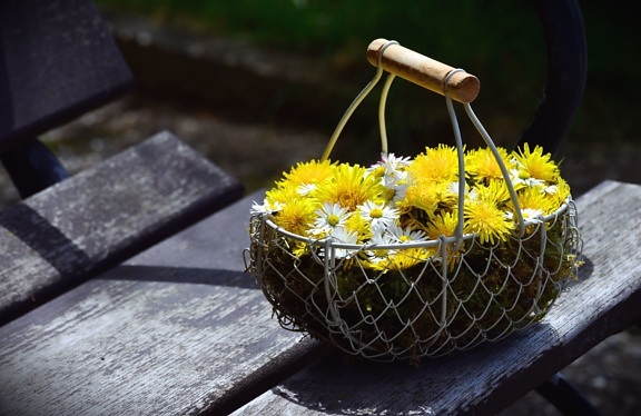 daisy, flower, yellow flower, dandelion, basket, bouquet, plank