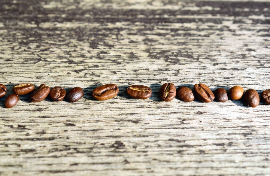 Grano, café, madera, tabla, semilla