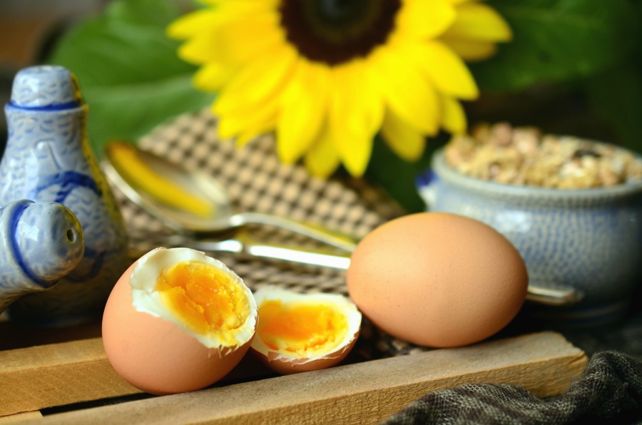 æg, fødevarer, kost, kylling, mad, blomst