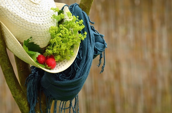 strawberry, hat, leaf, scarf