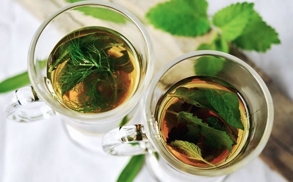mint, water, glass, tea, herb