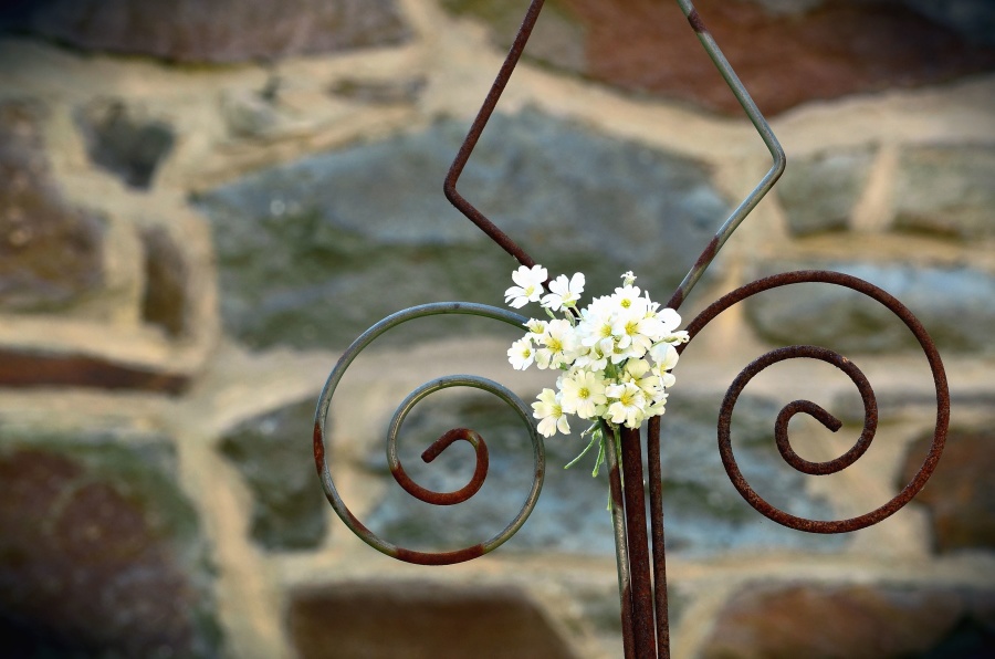 flower, petal, metal, fence, wall, stone