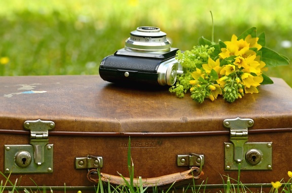 kufr, květina, fotoaparát, retro, kůže, tráva