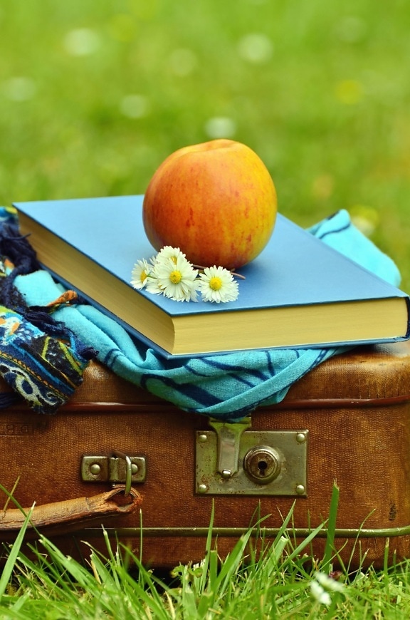kofer, cvijeća, knjiga, jabuka, voće, tratinčica, šal
