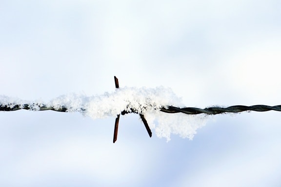 steel, rust, snow, winter, barbed wire, wire, metal, iron