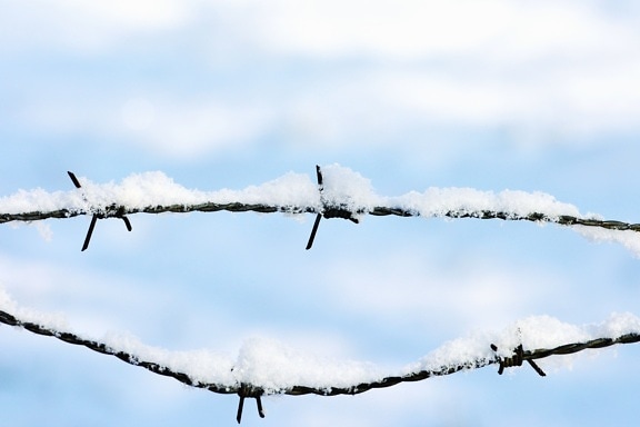 barbed wire, wire, metal, iron, steel, rust, snow, winter
