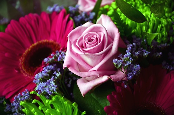 Rose, fleur, pétale, bouquet, arrangement, feuille