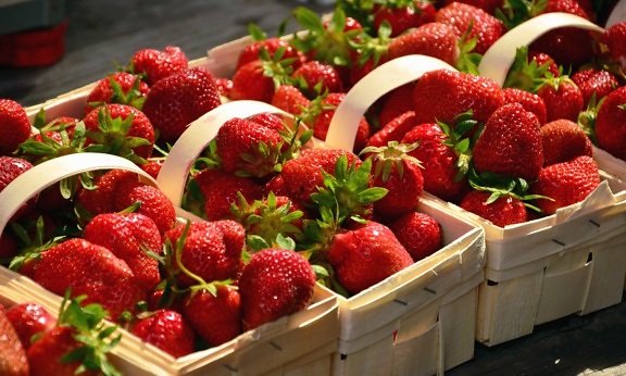 strawberry, fruit, sweet, food, box, stalk, leaf