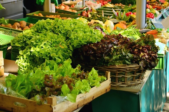 サラダ、野菜、ボックス、市場、食品