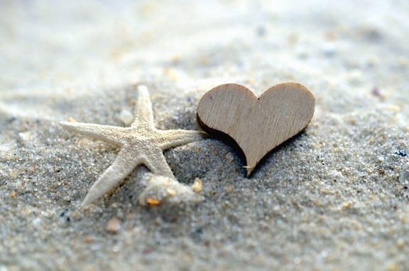 Coeur, étoile, sable, mer, grain, amour