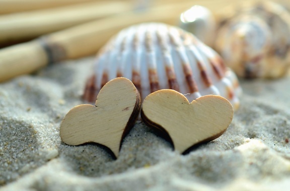 hjerte, muslingeskal, sand, dekoration, romantisk