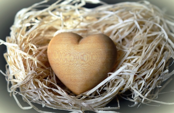 Corazón, madera, arte, nido, decoración