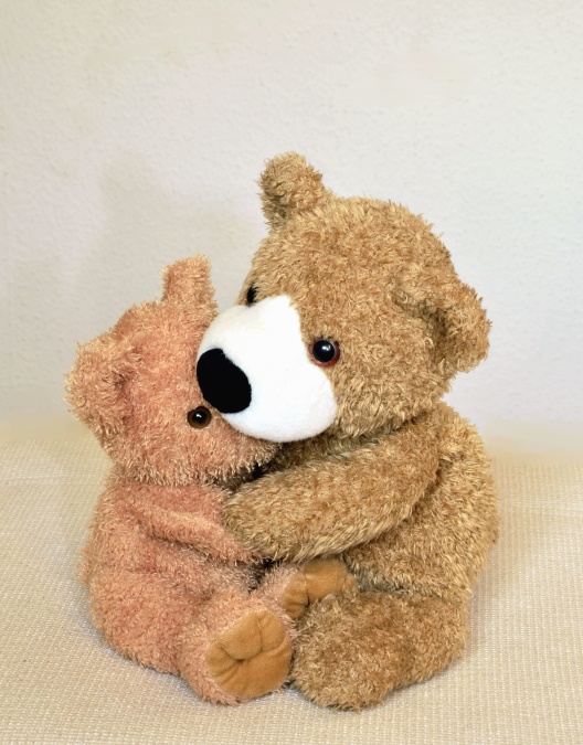 knuffel, teddy bear, speelgoed