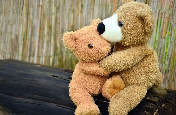 泰迪熊, 玩具, 表面, 木头, 拥抱