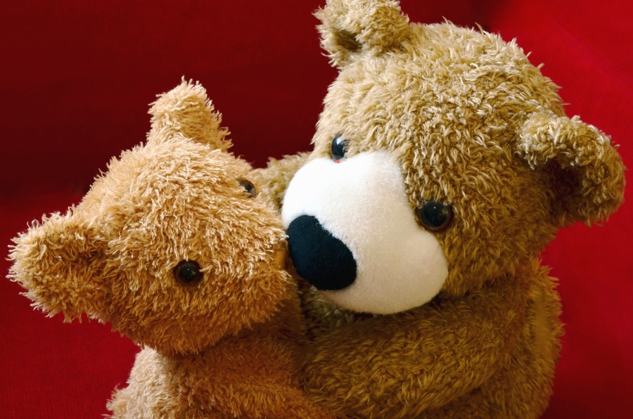 泰迪熊, 玩具, 拥抱
